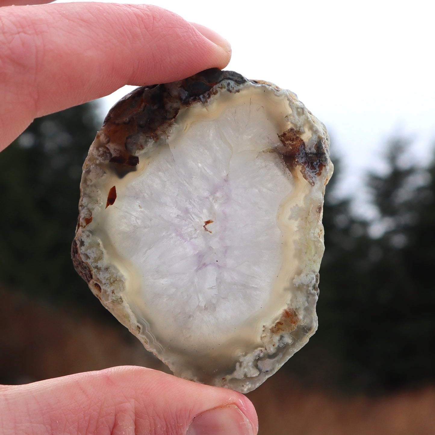 Northern BC Moss Agate With Amethyst