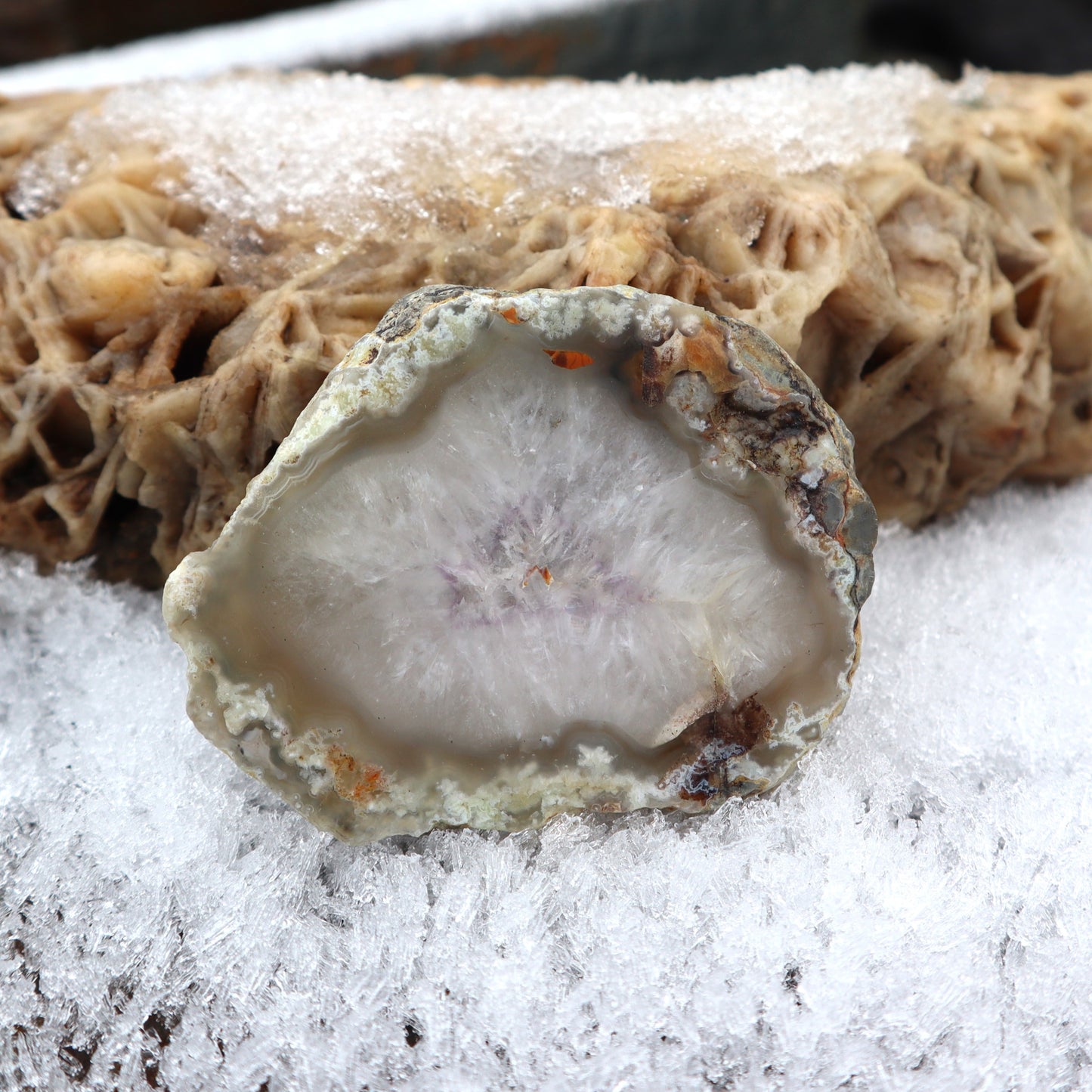 Northern BC Moss Agate With Amethyst