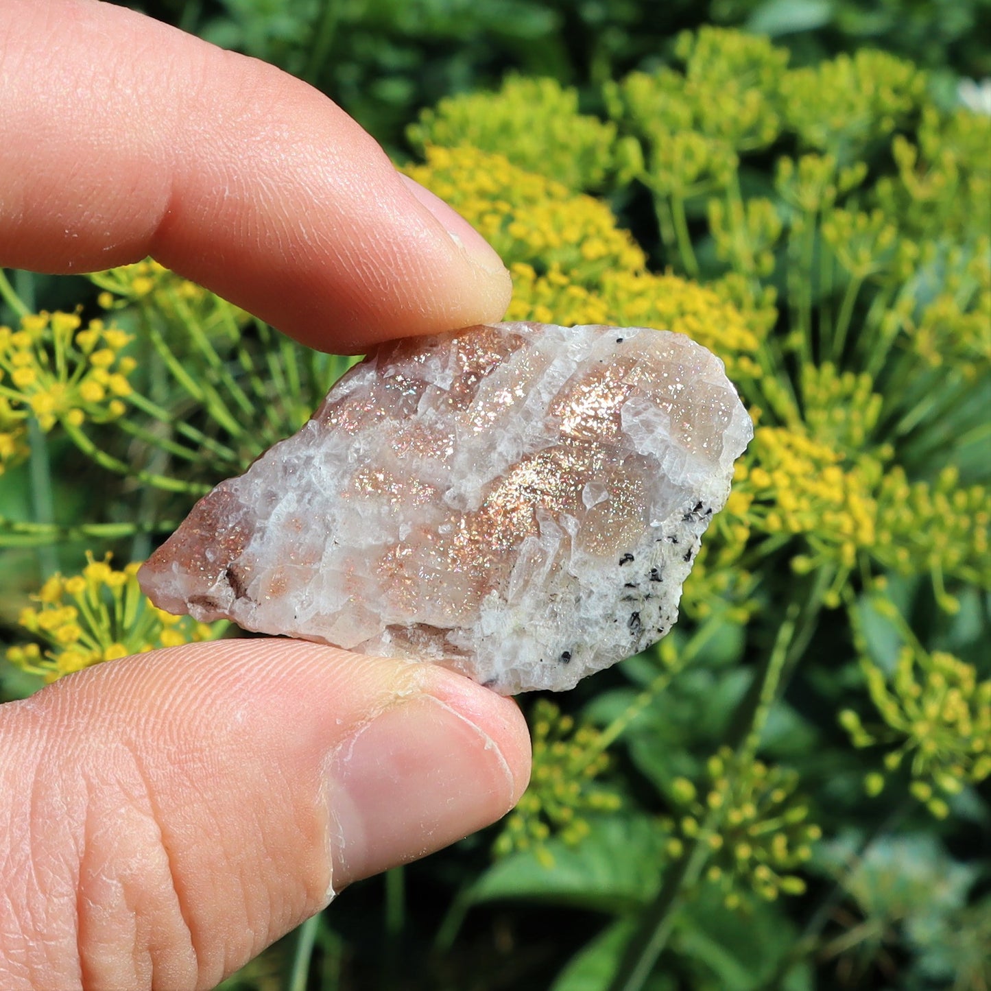 BC Sunstone Specimen