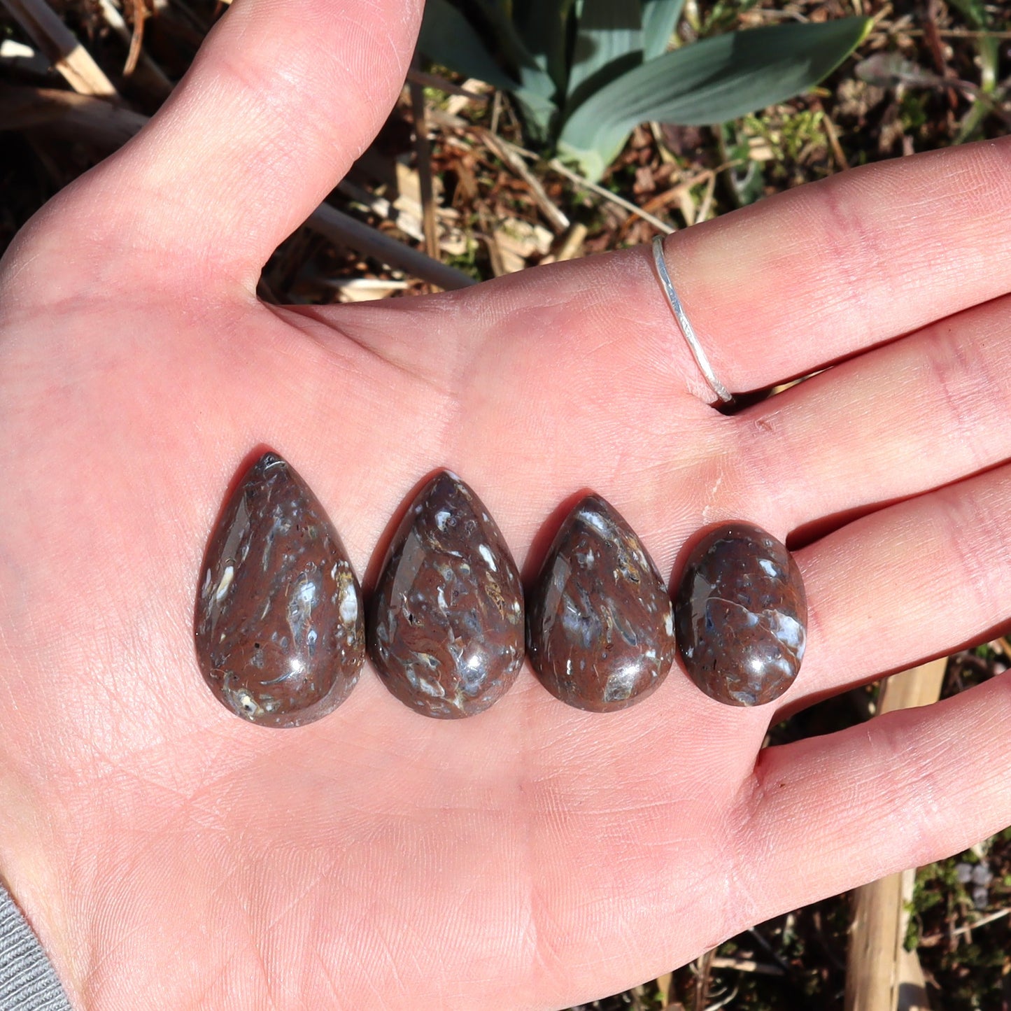 BC Agatized Rhyolite Cabochons