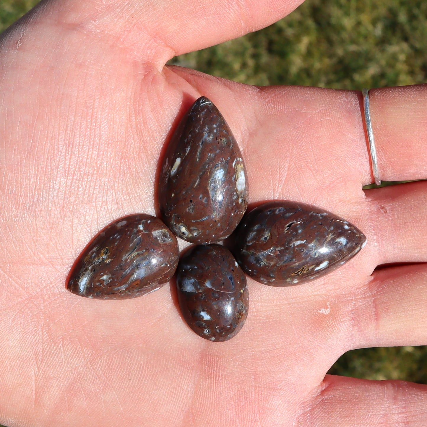 BC Agatized Rhyolite Cabochons